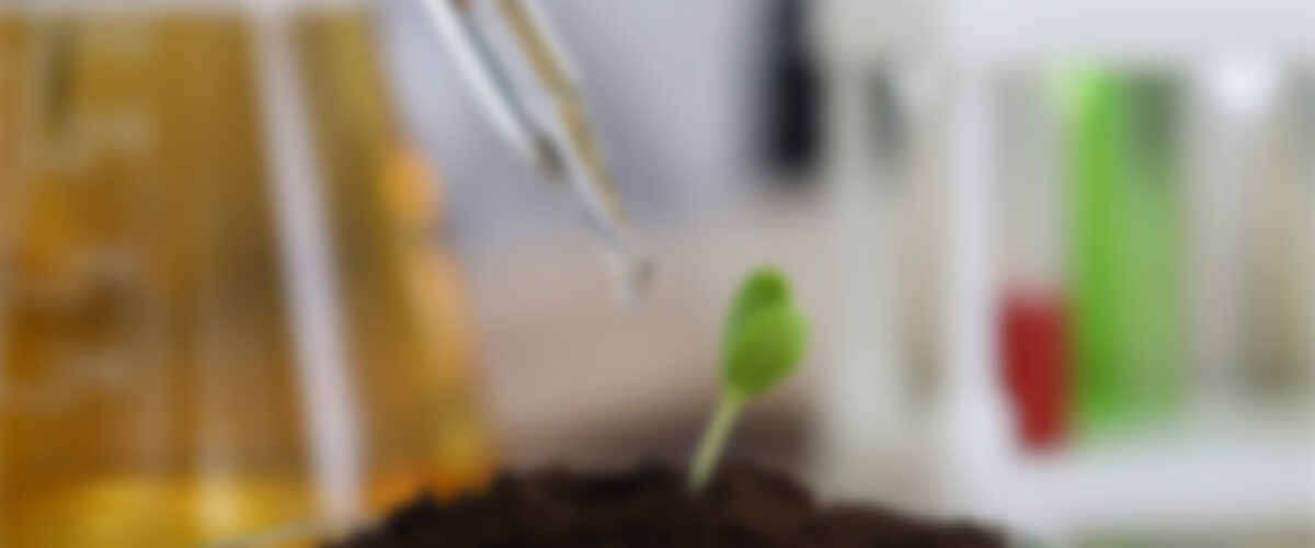 Fusce diam est, semper pulvinar lorem eu.