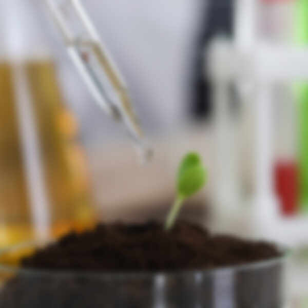 Fusce diam est, semper pulvinar lorem eu.