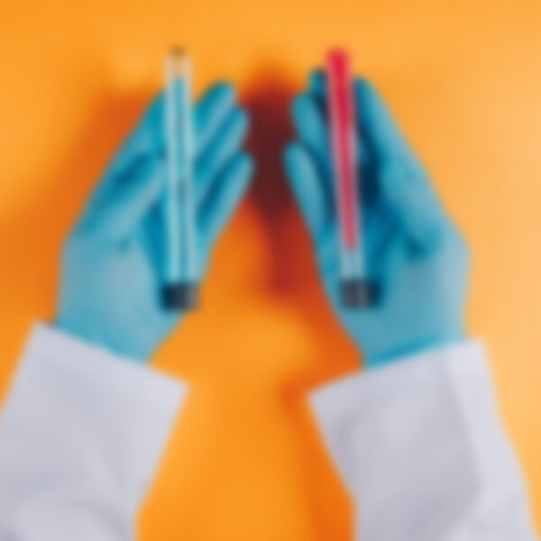 Curabitur nec vulputate nunc. Proin sodales ornare